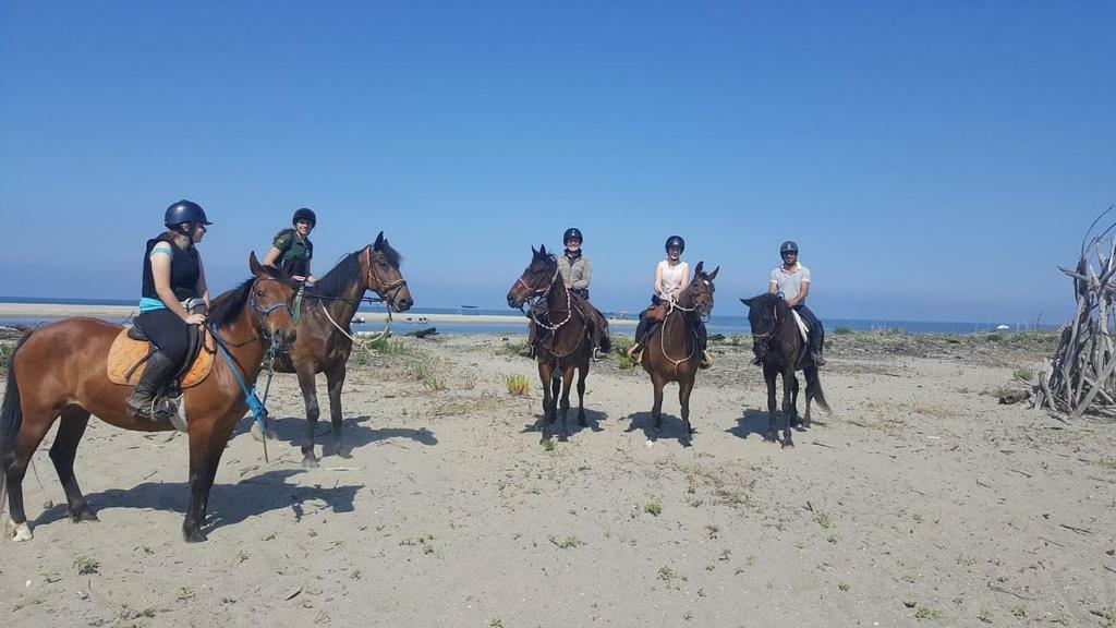 Vicino al Mare IL MERLO 2 Viareggio Esterno foto
